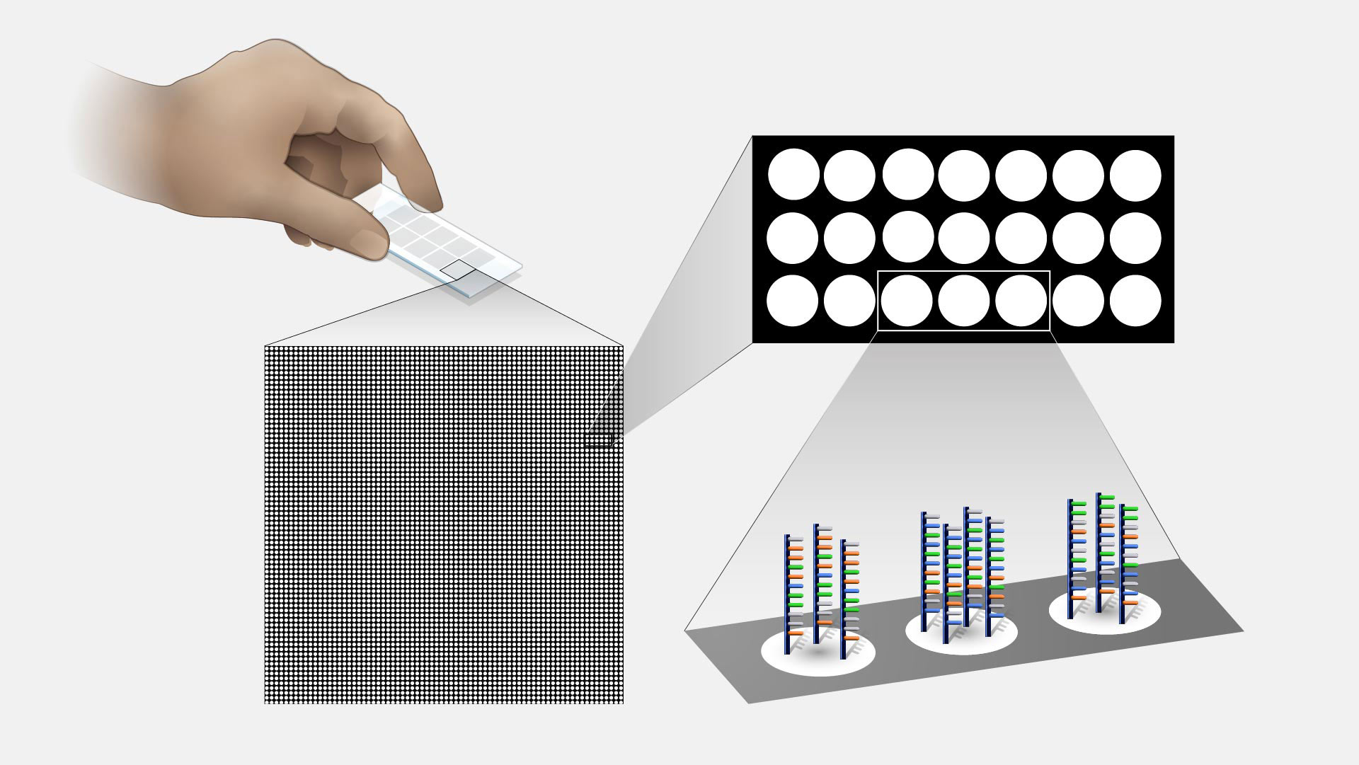 Tecnología de microarrays